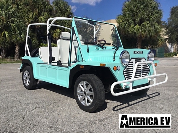Mint Mokee 4 Passenger Golf Cart affordable golf cart rental, golf cart rent berkeley
